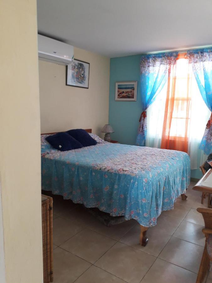 Seacastle Deluxe Studio Montego Bay Extérieur photo