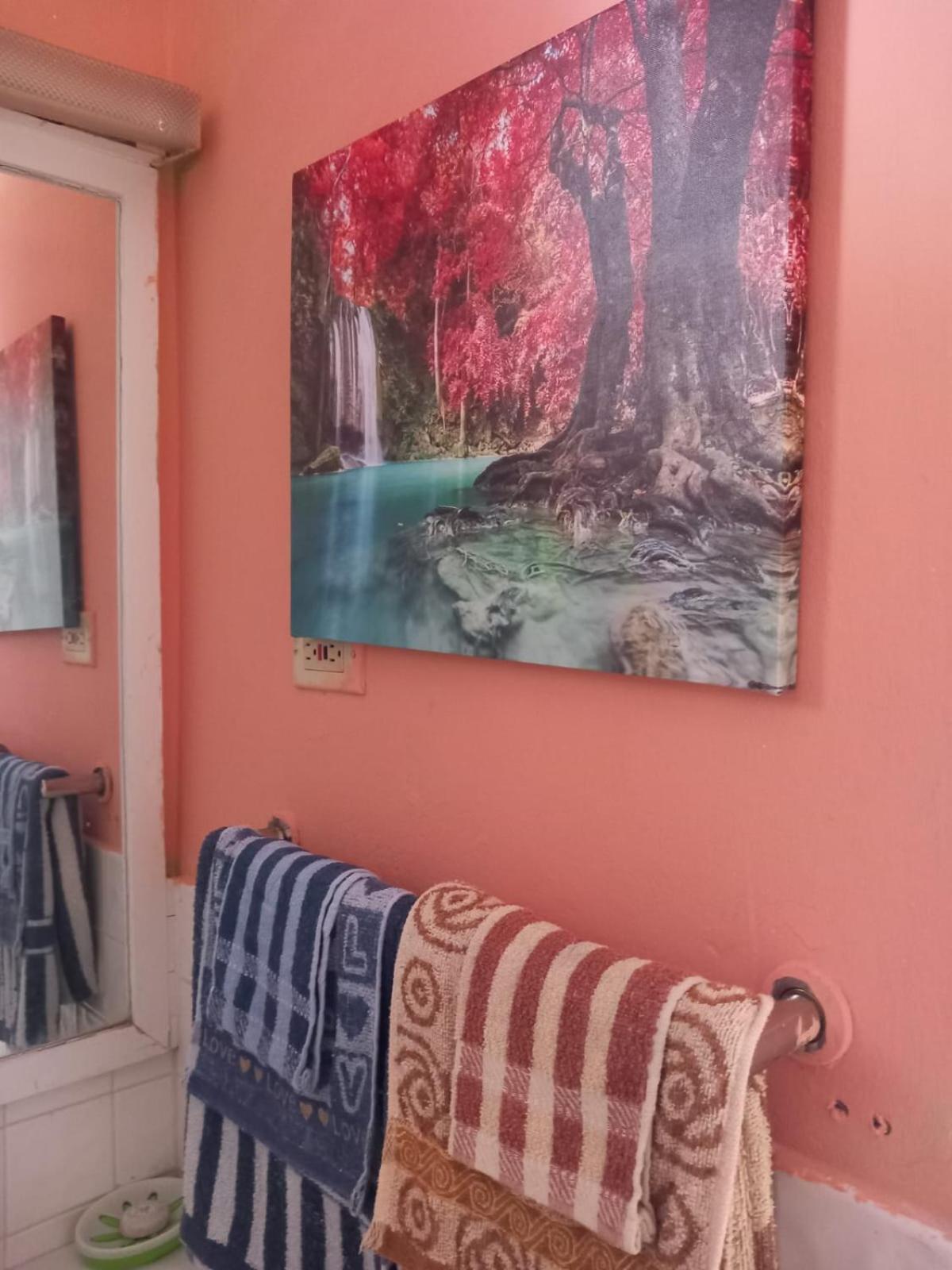 Seacastle Deluxe Studio Montego Bay Extérieur photo